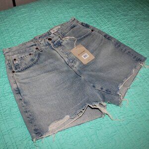 AG-ED Denim Womens Clove High Rise Shorts Baggy Vintage Inspired Size 26  NWT